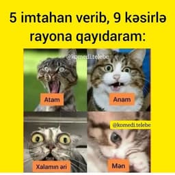 Dkdkdkd Şədkdkdld